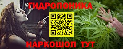прущие грибы Усть-Илимск