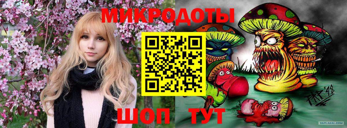 Вольск  сколько стоит  Вход с VPN  Галлюциногенные грибы GOLDEN TEACHER 